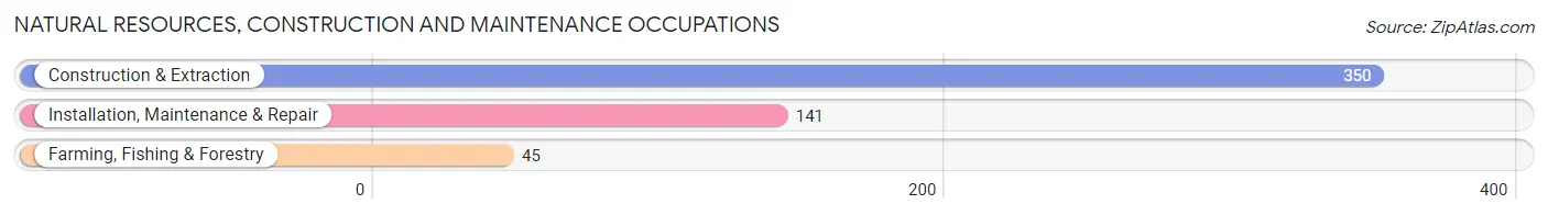 Natural Resources, Construction and Maintenance Occupations in Montgomery County