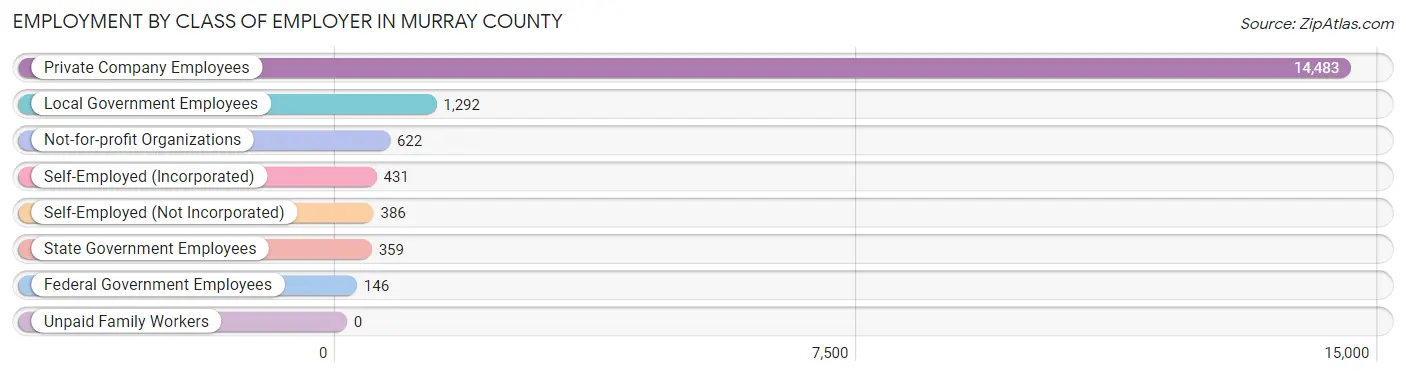 Employment by Class of Employer in Murray County