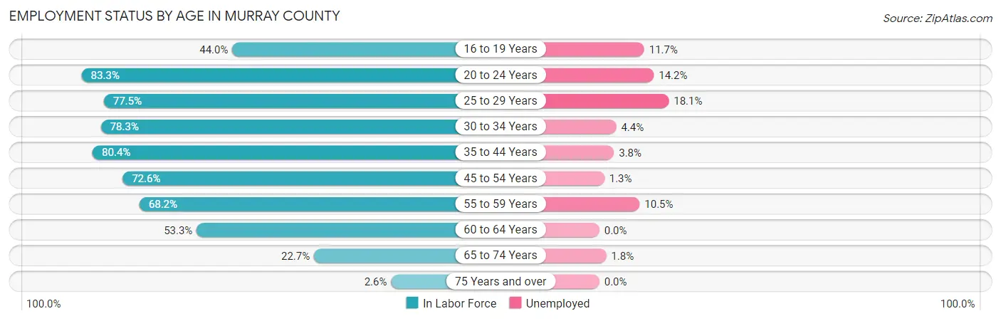 Employment Status by Age in Murray County