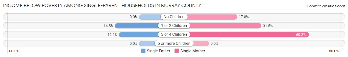 Income Below Poverty Among Single-Parent Households in Murray County