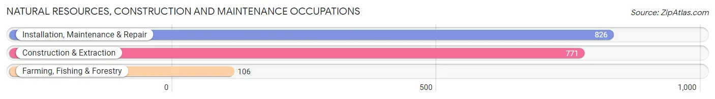 Natural Resources, Construction and Maintenance Occupations in Murray County