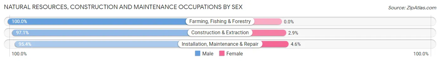 Natural Resources, Construction and Maintenance Occupations by Sex in Pickens County