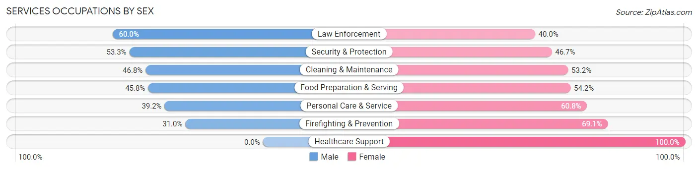 Services Occupations by Sex in Putnam County