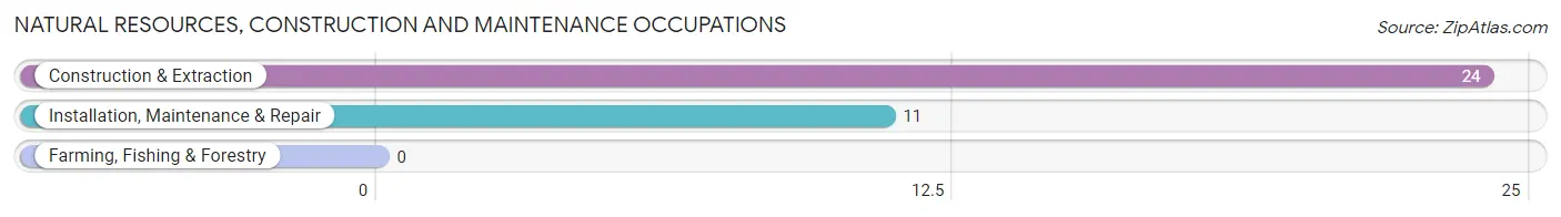 Natural Resources, Construction and Maintenance Occupations in Quitman County