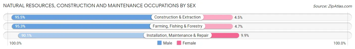 Natural Resources, Construction and Maintenance Occupations by Sex in Spalding County