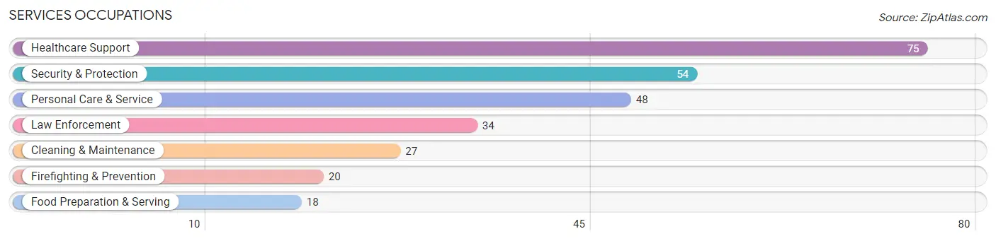 Services Occupations in Stewart County