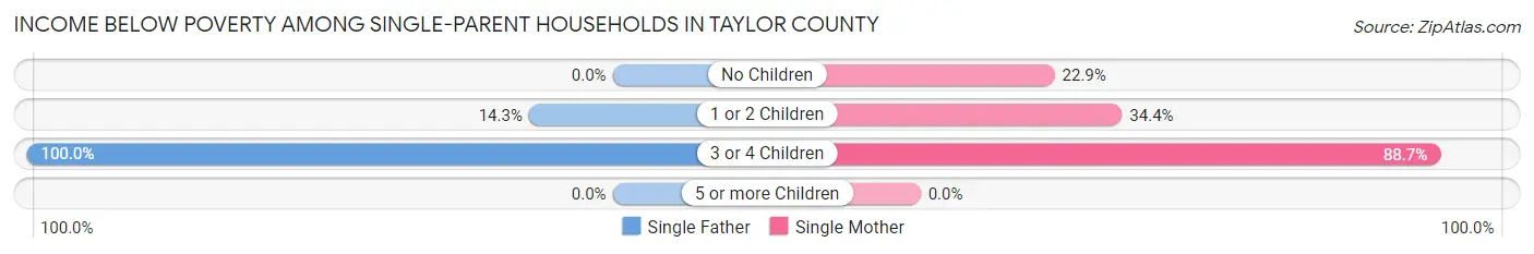 Income Below Poverty Among Single-Parent Households in Taylor County