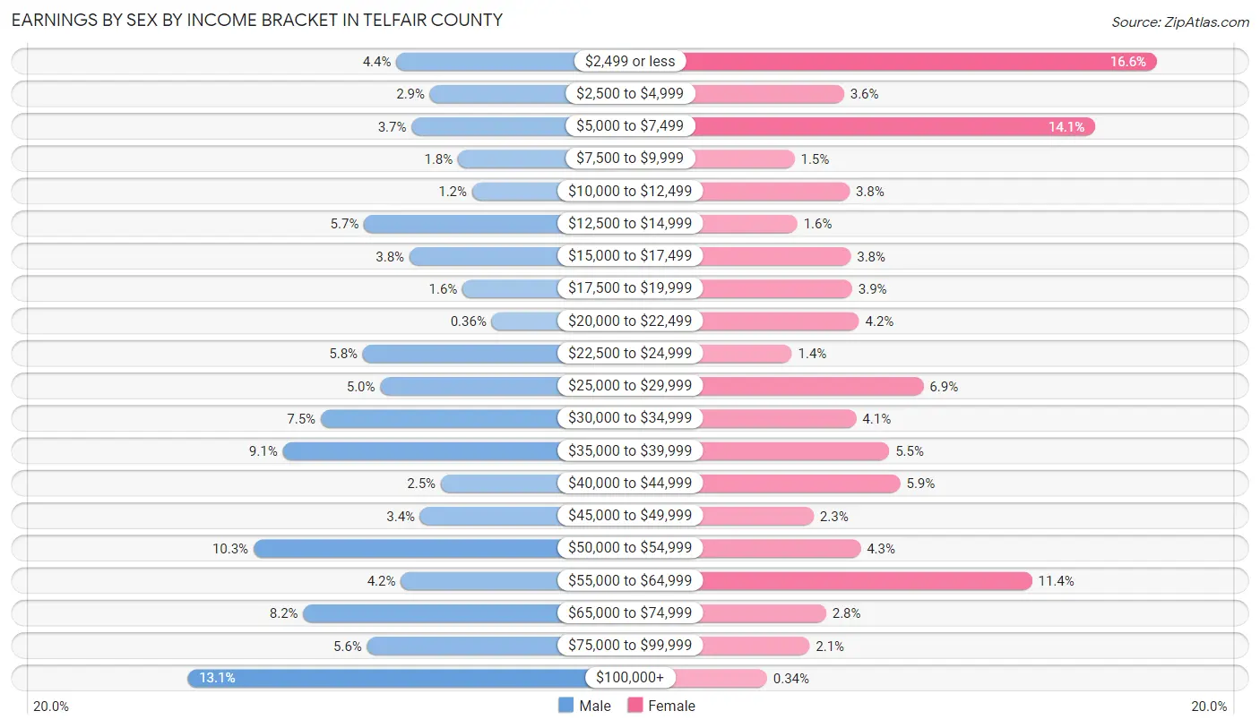 Earnings by Sex by Income Bracket in Telfair County