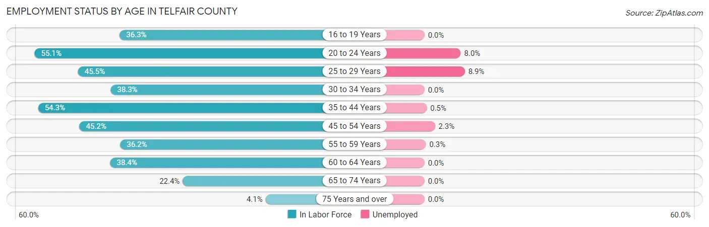 Employment Status by Age in Telfair County