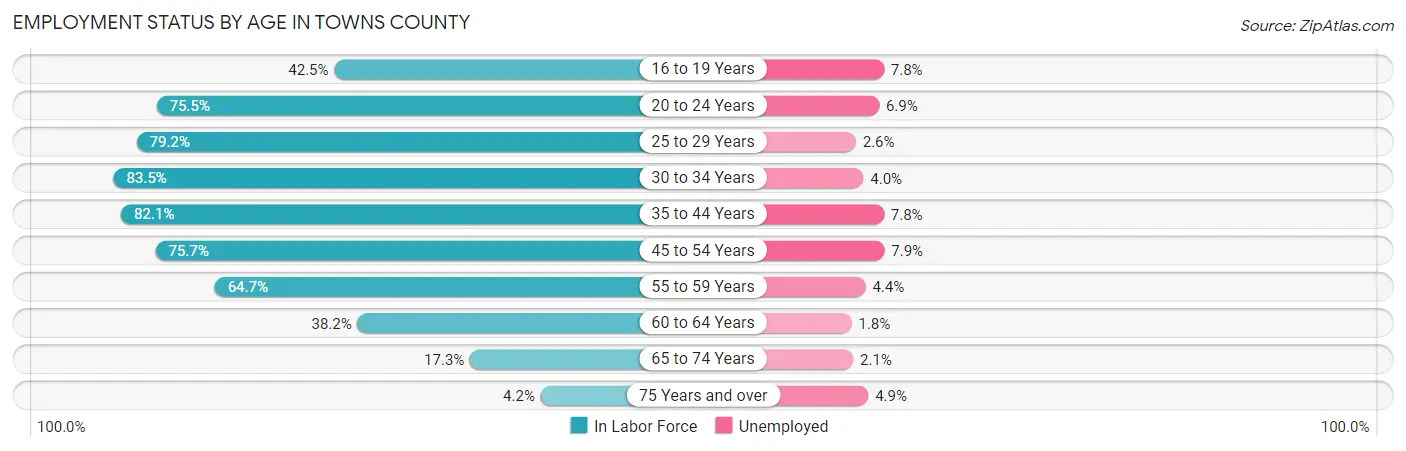 Employment Status by Age in Towns County