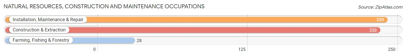 Natural Resources, Construction and Maintenance Occupations in Towns County