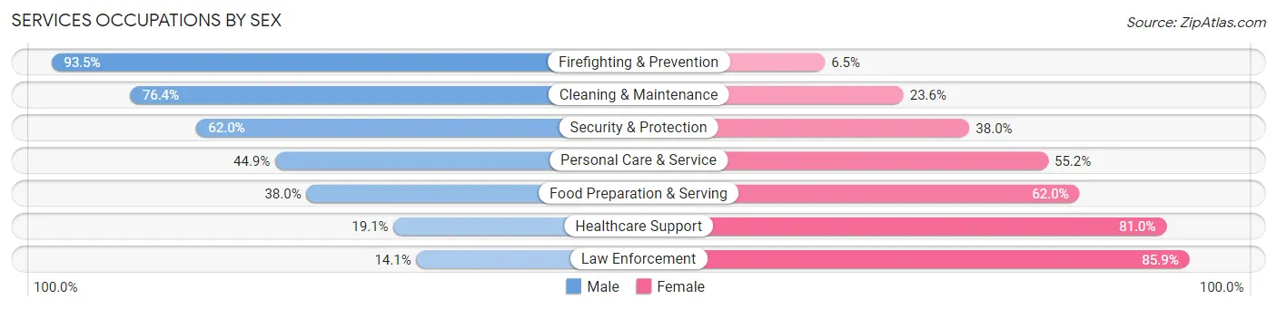 Services Occupations by Sex in Towns County