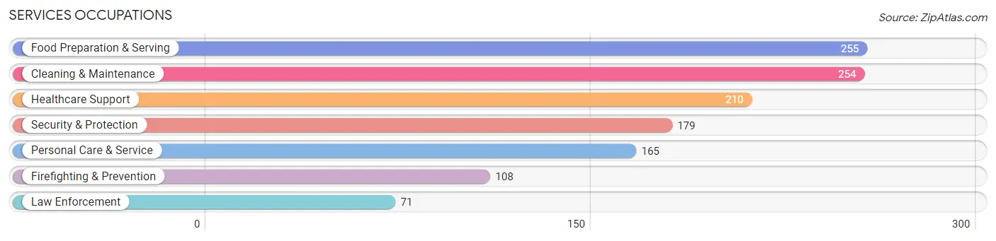 Services Occupations in Towns County