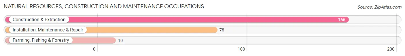 Natural Resources, Construction and Maintenance Occupations in Treutlen County