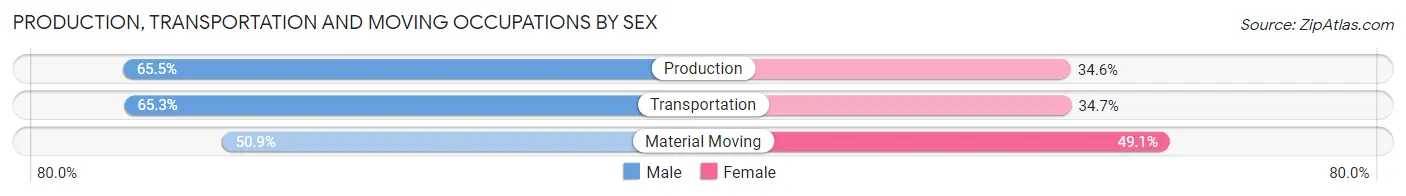 Production, Transportation and Moving Occupations by Sex in Turner County