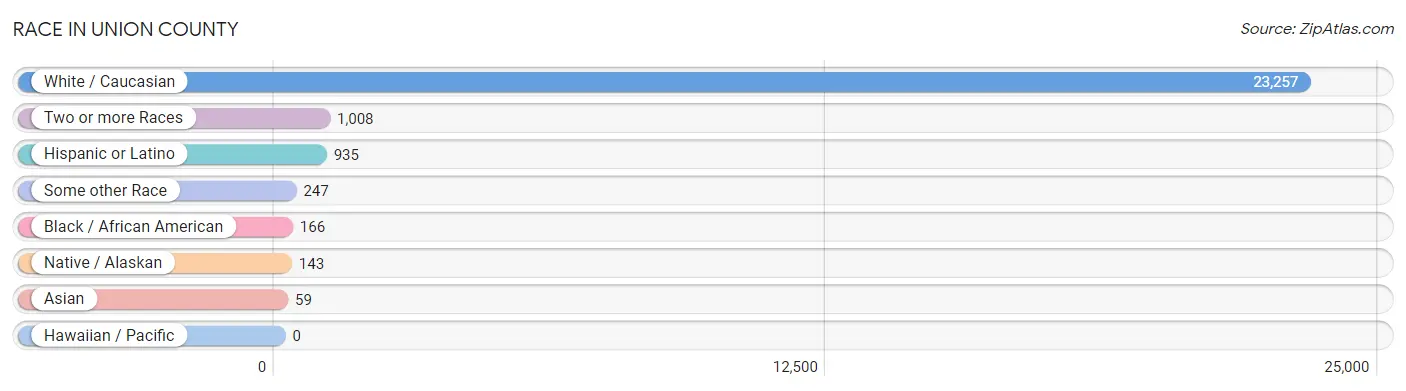 Race in Union County