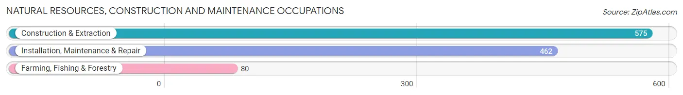 Natural Resources, Construction and Maintenance Occupations in Upson County