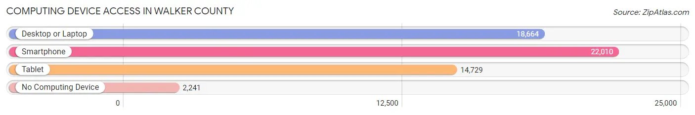 Computing Device Access in Walker County