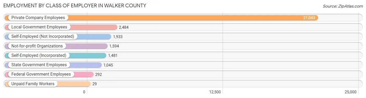 Employment by Class of Employer in Walker County