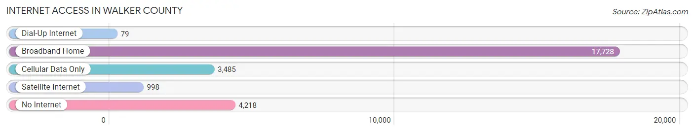 Internet Access in Walker County