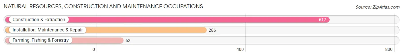 Natural Resources, Construction and Maintenance Occupations in Washington County