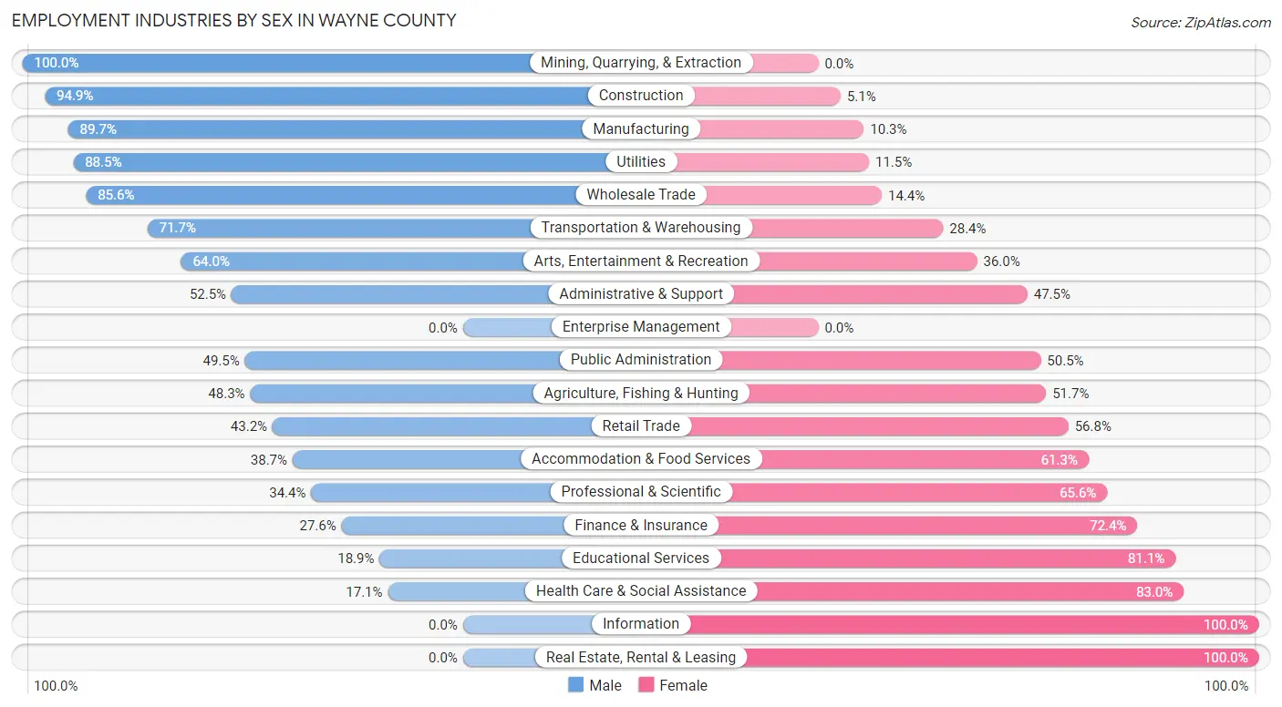 Employment Industries by Sex in Wayne County