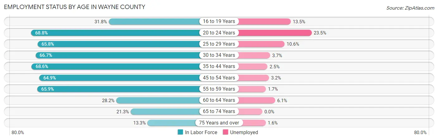 Employment Status by Age in Wayne County