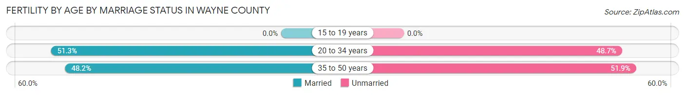 Female Fertility by Age by Marriage Status in Wayne County