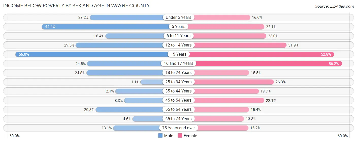 Income Below Poverty by Sex and Age in Wayne County