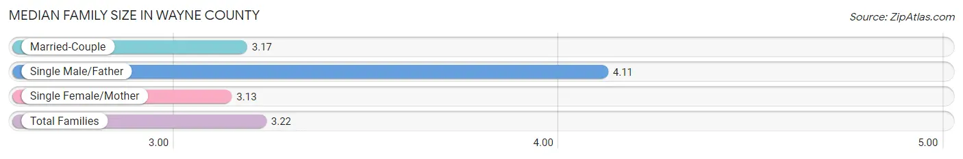 Median Family Size in Wayne County