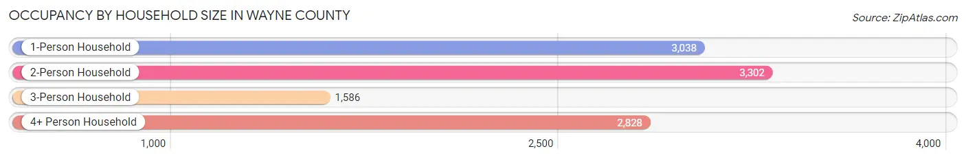 Occupancy by Household Size in Wayne County