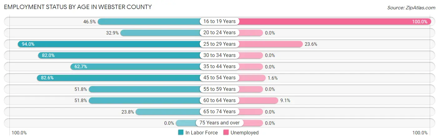 Employment Status by Age in Webster County