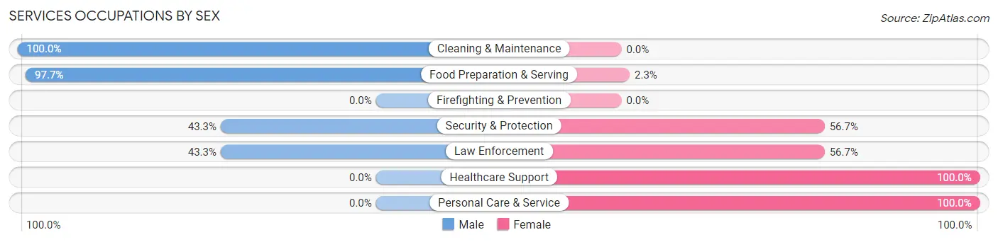 Services Occupations by Sex in Webster County