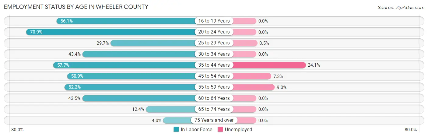 Employment Status by Age in Wheeler County