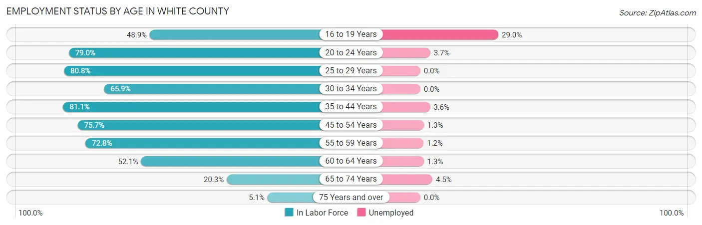 Employment Status by Age in White County