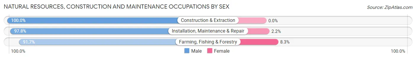 Natural Resources, Construction and Maintenance Occupations by Sex in White County