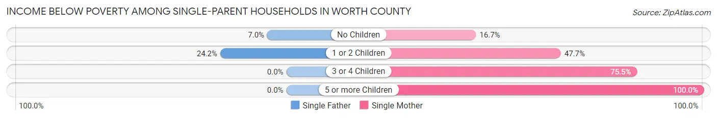 Income Below Poverty Among Single-Parent Households in Worth County