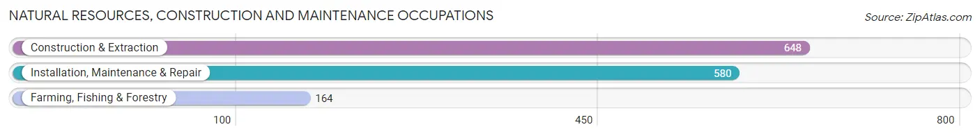 Natural Resources, Construction and Maintenance Occupations in Worth County