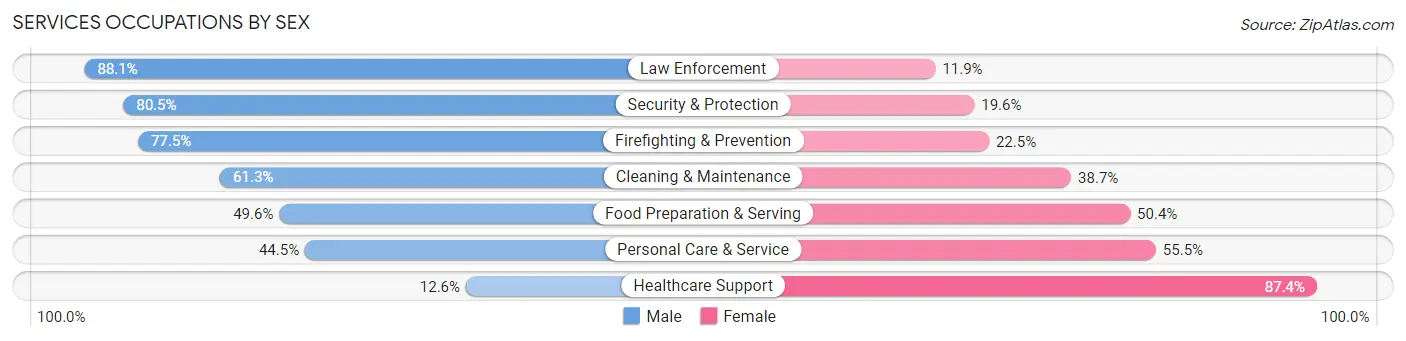 Services Occupations by Sex in Hawaii County