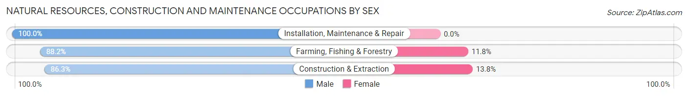 Natural Resources, Construction and Maintenance Occupations by Sex in Adair County