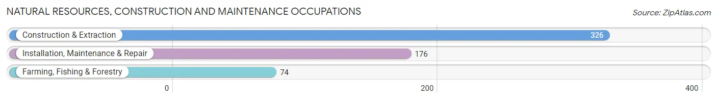Natural Resources, Construction and Maintenance Occupations in Appanoose County