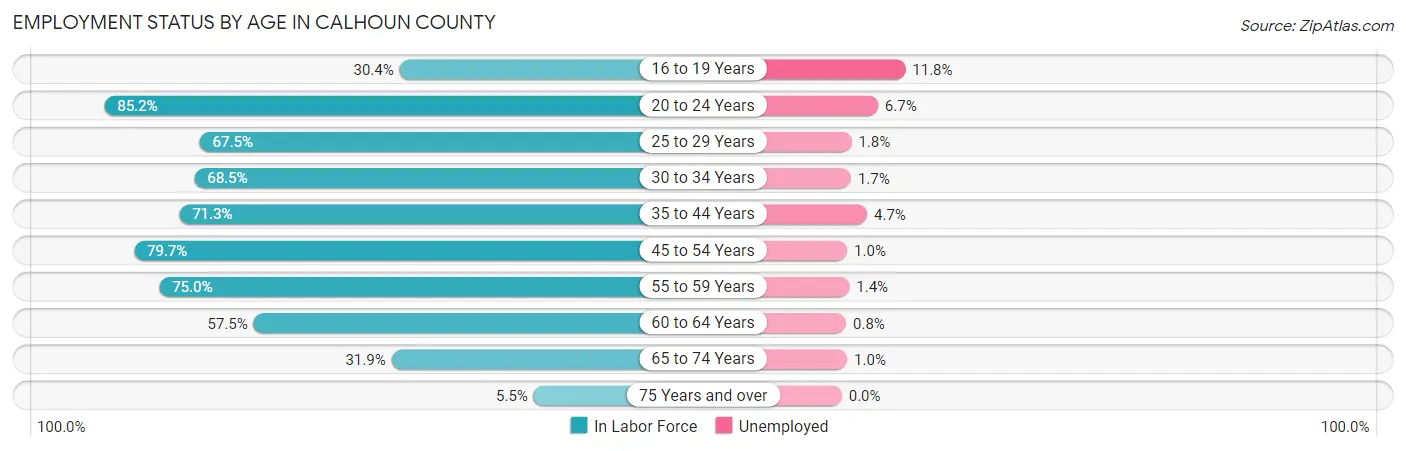Employment Status by Age in Calhoun County