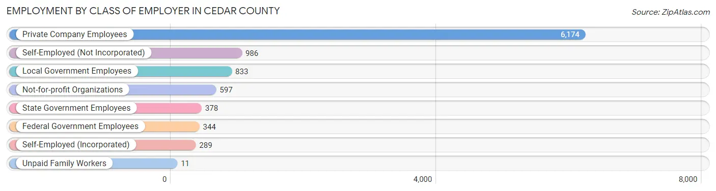 Employment by Class of Employer in Cedar County