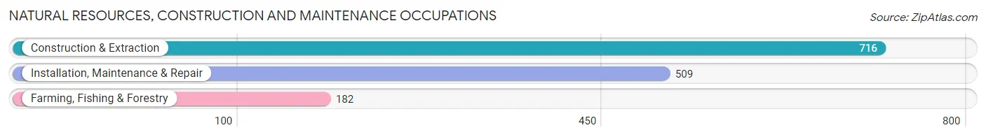 Natural Resources, Construction and Maintenance Occupations in Cedar County