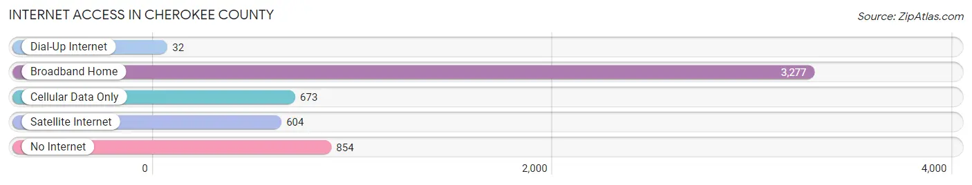 Internet Access in Cherokee County