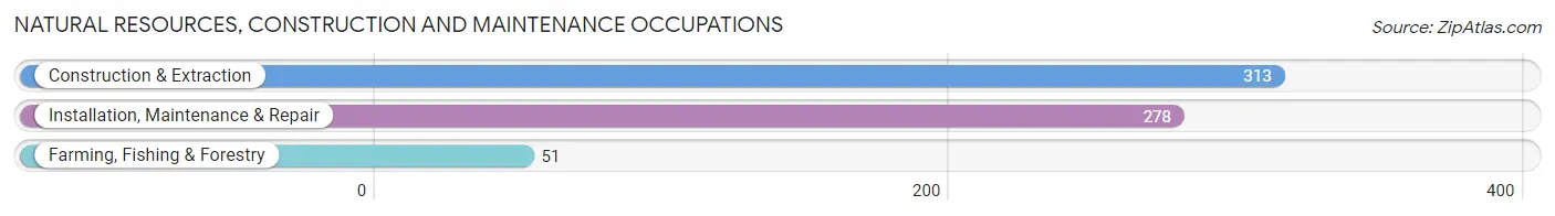 Natural Resources, Construction and Maintenance Occupations in Cherokee County