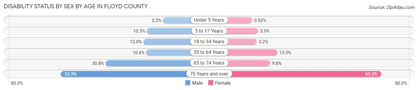 Disability Status by Sex by Age in Floyd County