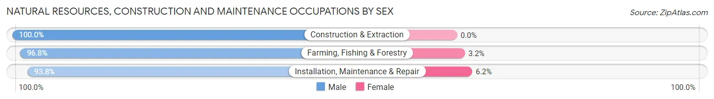 Natural Resources, Construction and Maintenance Occupations by Sex in Grundy County