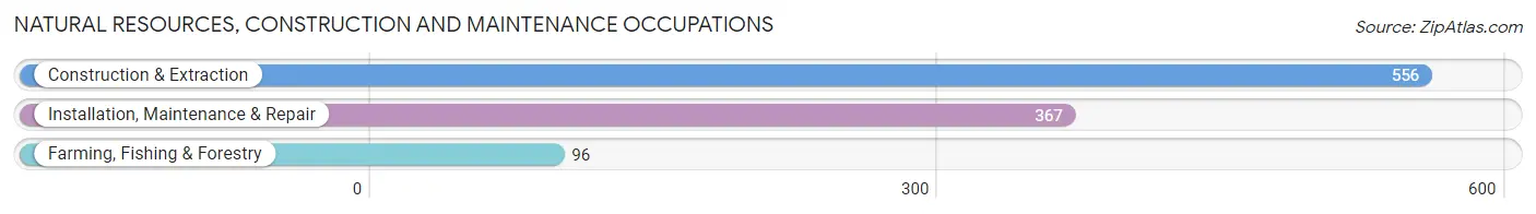Natural Resources, Construction and Maintenance Occupations in Henry County