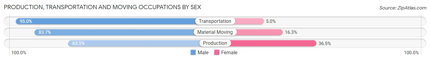 Production, Transportation and Moving Occupations by Sex in Henry County